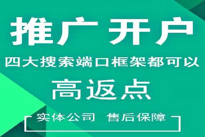 SEM推广实战案例：关键词优化与广告投放技巧